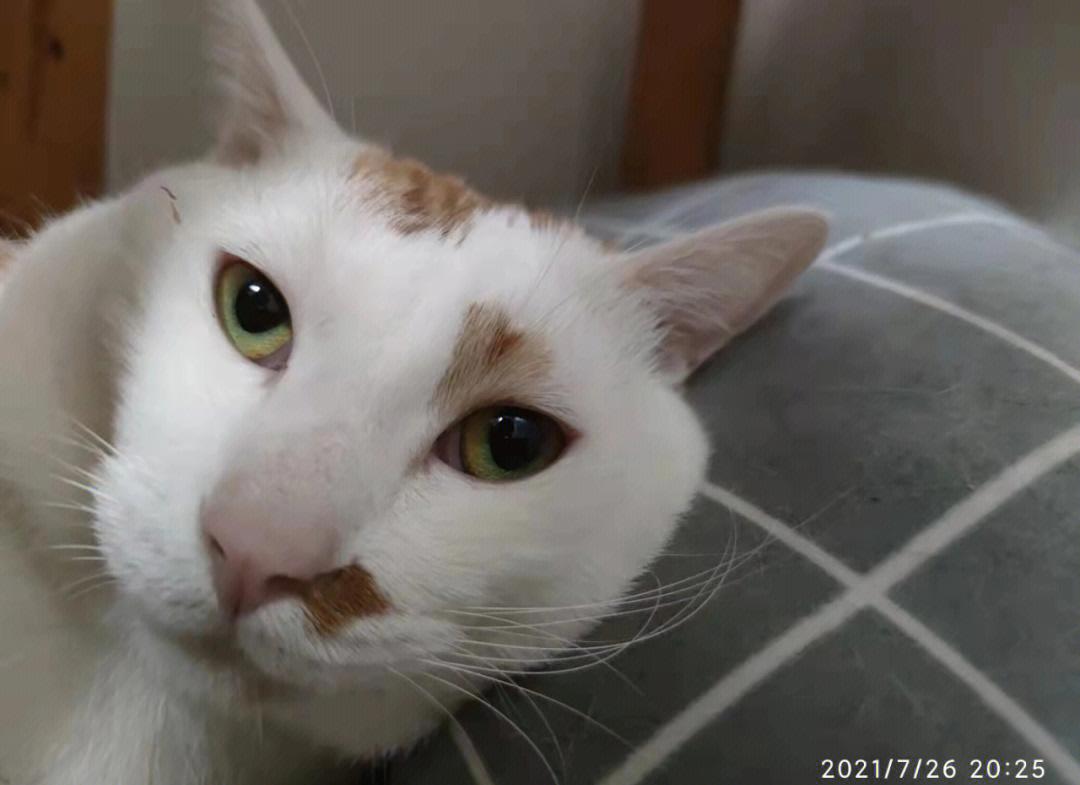 加的夫城主场大败，无法克服阻力遭遇波折