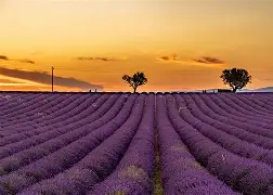 法国队长跑掀起狂潮，团队精神彰显冲劲十足